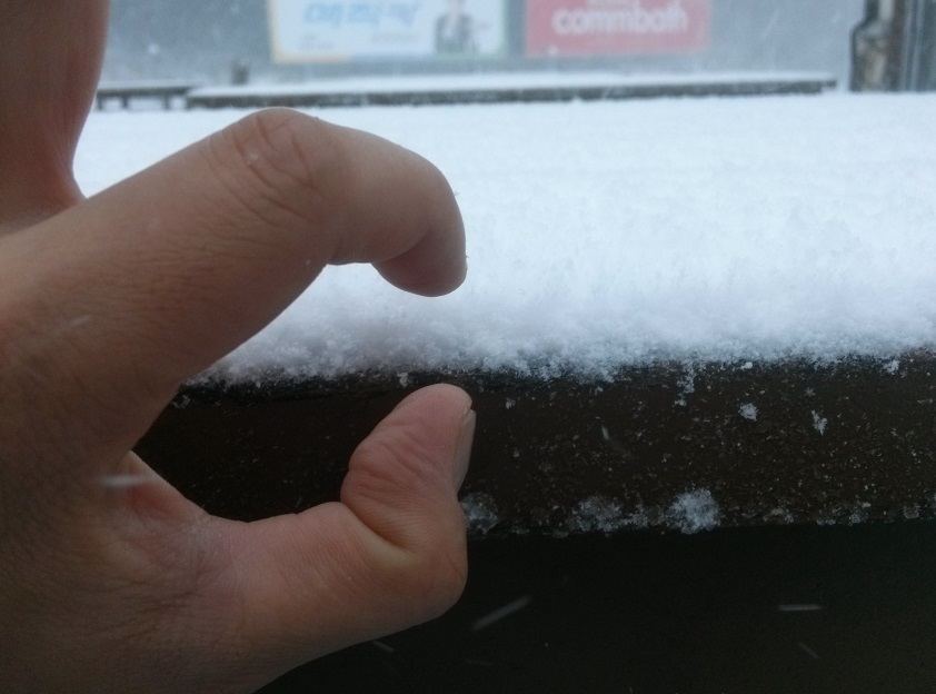 CAM01618.jpg