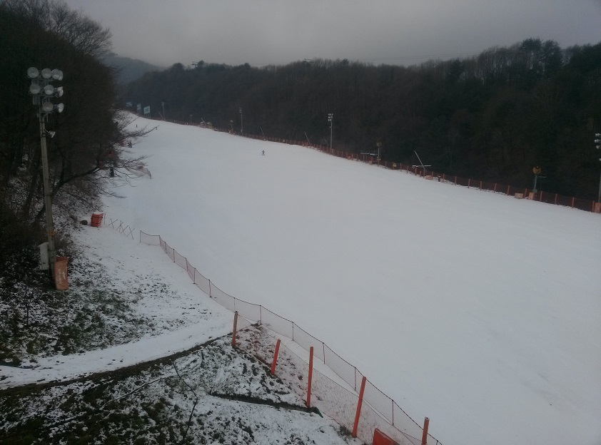 CAM01503.jpg