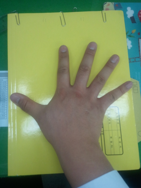2013-02-15 13.30.23.jpg