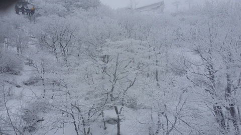 20140208_105536.jpg