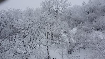 20140208_105542.jpg