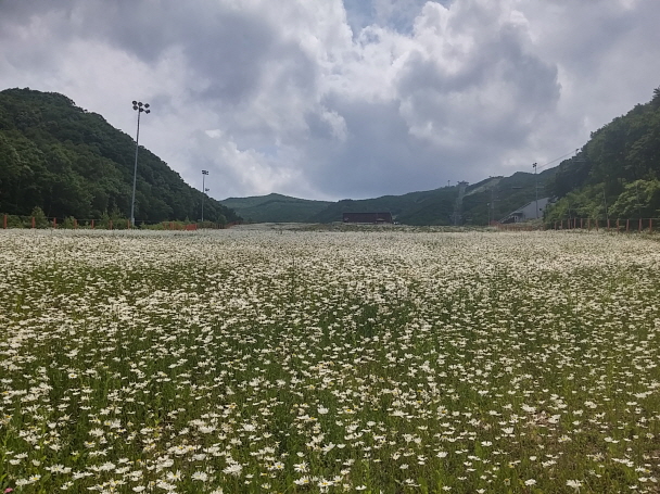 크기변환_20150618_134953_HDR.jpg