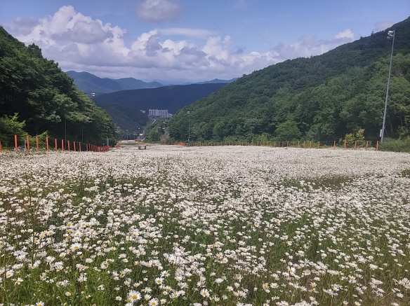 크기변환_20150618_135002_HDR.jpg