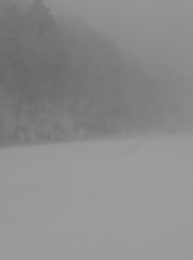 CAM01612.jpg